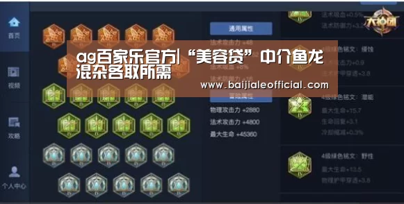 AG百家乐官网